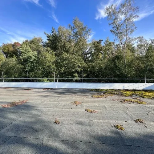 Dachrandsicherung auf Industriedach